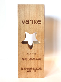 2018年海南萬(wàn)科奮斗獎(jiǎng)